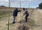 Dañaron gran cantidad de árboles camino al cementerio