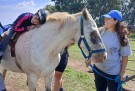 Equinoterapia logra cerrar de manera positiva un año complicado 