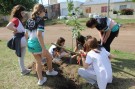 Alumnos de primaria plantaron árboles en la calle Venezuela