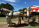 El Jardín Maternal celebró el Día de la Tradición