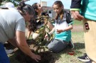 Alumnos de primaria plantaron árboles en la calle Venezuela