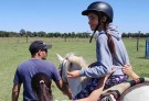 Equinoterapia logra cerrar de manera positiva un año complicado 