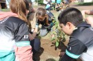 Alumnos de primaria plantaron árboles en la calle Venezuela