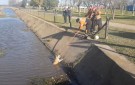 Bomberos rescataron un perro del canal del Paseo del Lago