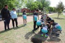 Alumnos de primaria plantaron árboles en la calle Venezuela