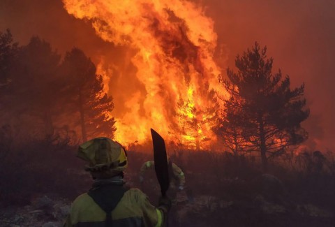 Colecta solidaria para los damnificados por los incendios en la Patagonia