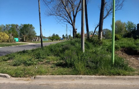 Comenzarán a controlar el estado de los terrenos baldíos