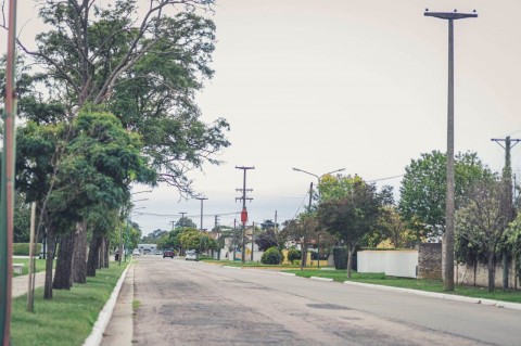 Ya rige la nueva Ordenanza de Arbolado Urbano