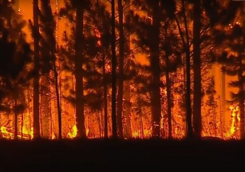 Colectas solidarias para la lucha contra los incendios en Corrientes