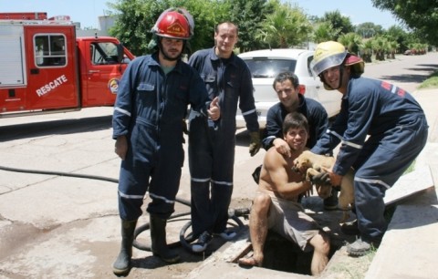 Bomberos rescataron un perro que había caído en una alcantarilla