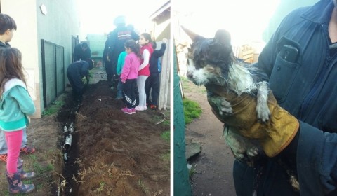 Bomberos rescataron un gato atrapado en una tubería