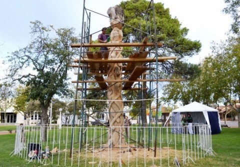 Artesanos tallaron un árbol en la plaza principal