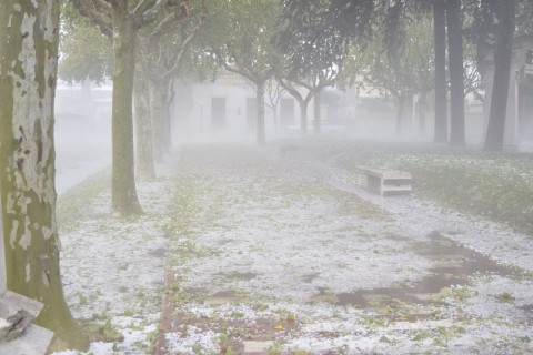 Fuerte caída de granizo en Pellegrini