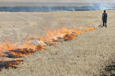 Bomberos solicita a los productores coordinar las quemas controladas