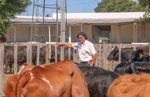 Bermejo & CIA Consignatarios anunció su 48° Remate de Hacienda