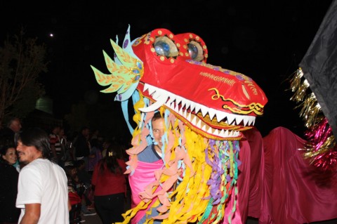 Invitan a compartir fotografías de carnavales en Salliqueló