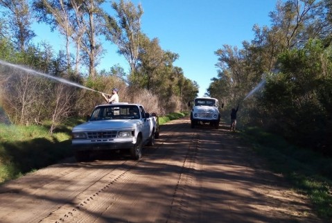 Tareas de control de arbolado silvestre en caminos rurales