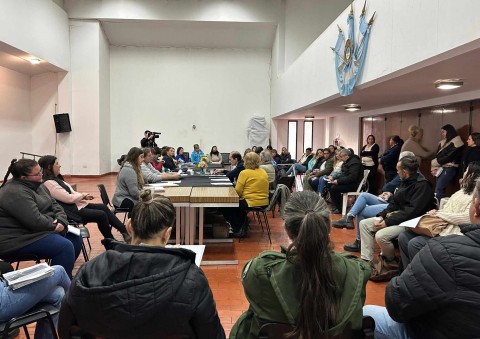 Retomó su actividad el Consejo Municipal de Discapacidad
