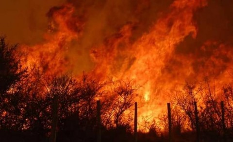 Incendio forestal en el límite entre Quenumá, Villa Maza y Pellegrini