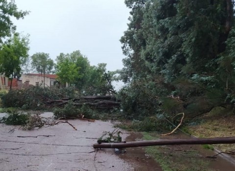 Asistencia a los sectores damnificados por la tormenta