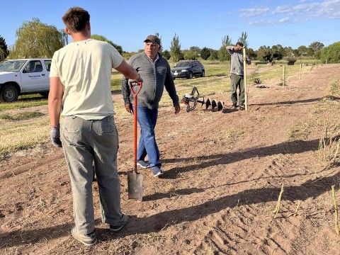 Trabajos de forestación en el bioparque