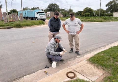 Comenzó un monitoreo de roedores en las bocas de tormenta 