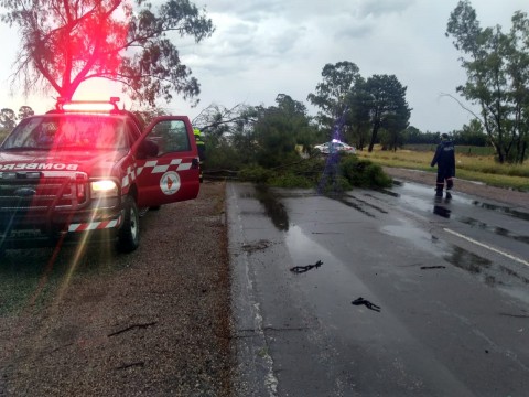 Bomberos trabajaron durante la tormenta 