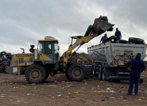 Retiraron 16 toneladas de neumáticos en desuso del basural