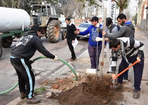 Forestación de arbolado urbano