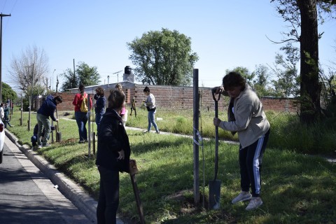 Jornada “Un niño, un árbol” en el Barrio Norte