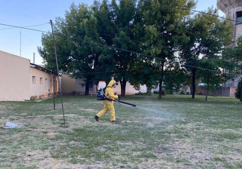 Tareas de prevención contra el mosquito Aedes Aegypti