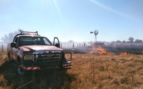 Incendio en la sección quintas de Pellegrini