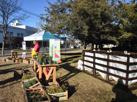 Nueva jornada de “Ecocanje” en la Plaza Marcaida