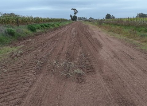 Continúan los trabajos de mantenimiento en zona rural