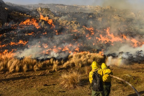 Convocan a una colecta solidaria por los incendios en Córdoba