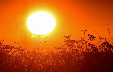 Alerta roja por calor extremo en Buenos Aires y otras cinco provincias