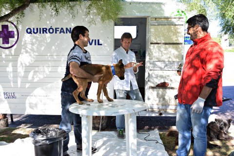 El Quirófano Móvil de Mascotas atenderá en Bocayuva