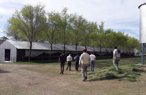 Pacheco visitó el establecimiento productivo Campisol