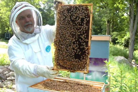 Charla informativa sobre enfermedades en abejas 