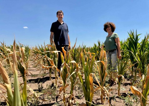 Salliqueló solicitará la declaración de emergencia agropecuaria 