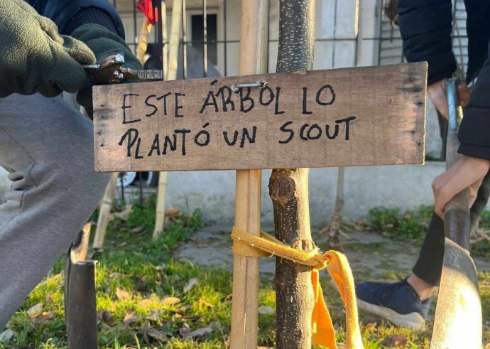 Integrantes de la Agrupación Scout plantan árboles por la ciudad 