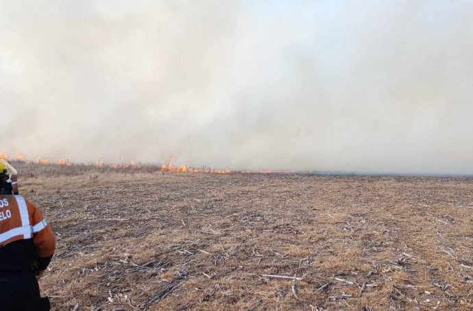 Bomberos de la zona enfrentaron un incendio de grandes dimensiones 