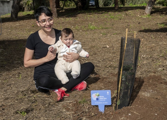 El próximo sábado se realiza la jornada “Nace un niño, planta un árbol”