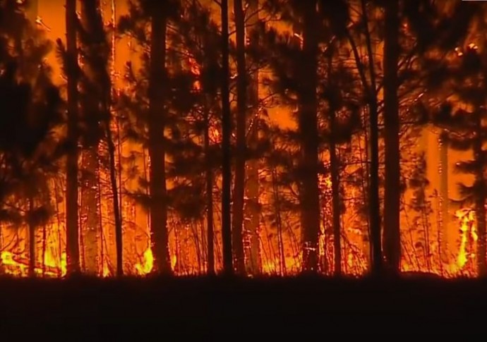 Colectas solidarias para la lucha contra los incendios en Corrientes