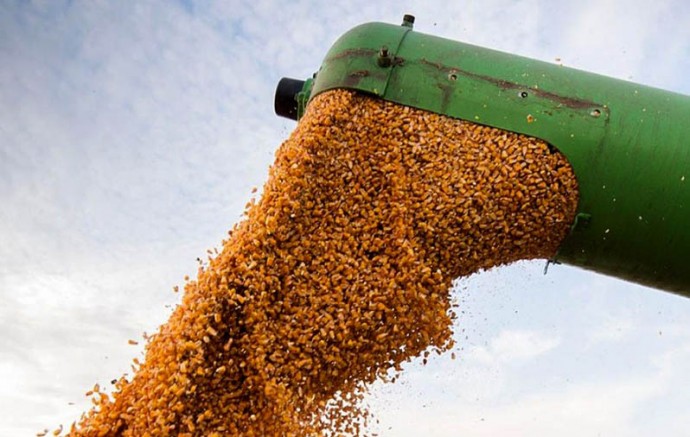 La AFIP desarticuló maniobras fraudulentas en 4.770 toneladas de granos en Buenos Aires