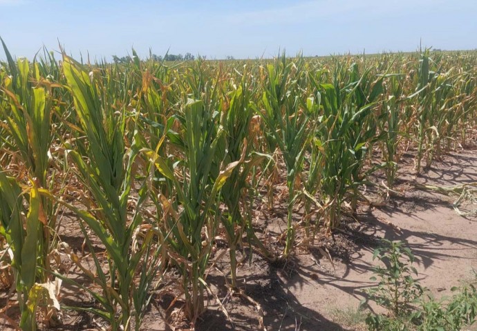 Tres Lomas insiste en que se declare la emergencia agropecuaria