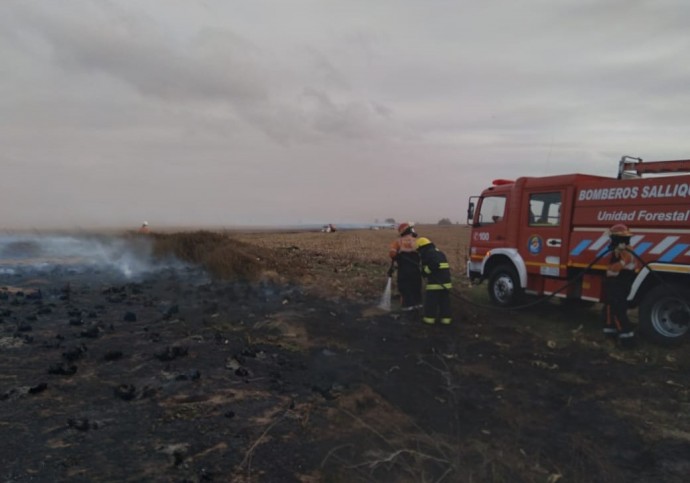 Bomberos de la zona extinguieron un incendio de pastizales 