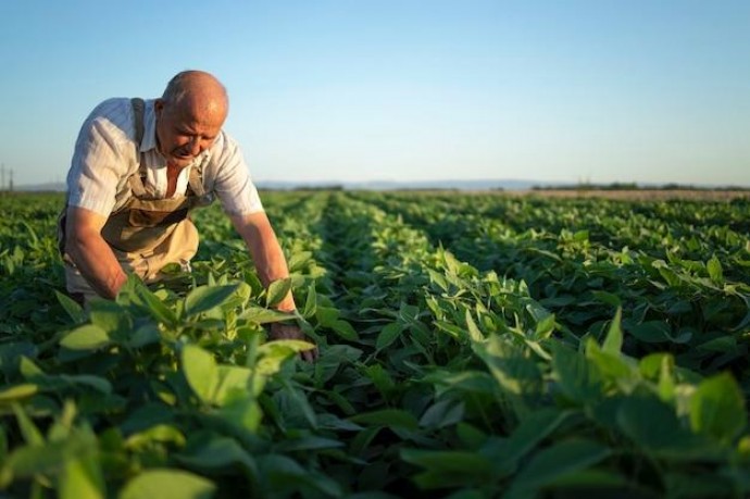 Charla abierta sobre fertilizantes y biológicos para la campaña de gruesa 