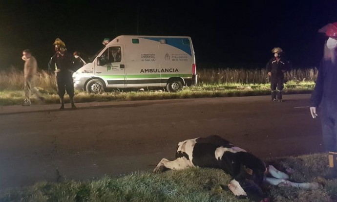 Chocó la ambulancia de Salliqueló en Ruta 85