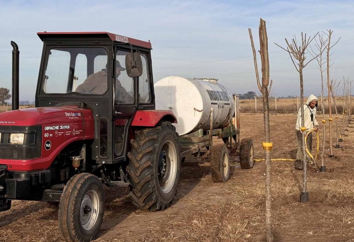 Culminó la primera etapa de forestación en la Planta de RSU